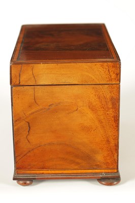 Lot 593 - A GEORGE III SATINWOOD STRUNG AND EBONY LINED FIGURED MAHOGANY TEA CADDY