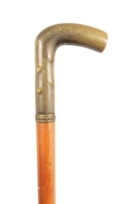 Lot 662 - A LATE 19TH CENTURY RHINOCEROS HORN HANDLED WALKING STICK