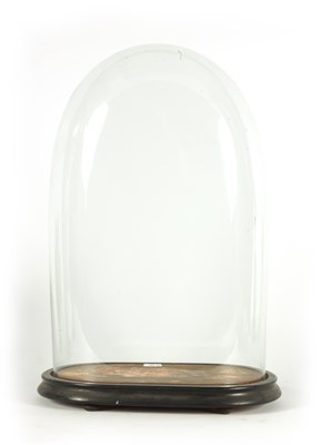 Lot 727 - A 19TH CENTURY GLASS DOME ON EBONISED BASE