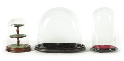 Lot 651 - A COLLECTION OF THREE 19TH CENTURY GLASS DOMES ON BASES