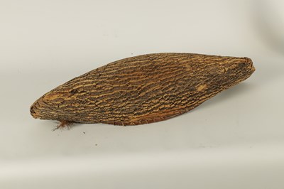 Lot 658 - A 19TH CENTURY NATIVE CANOE MODEL