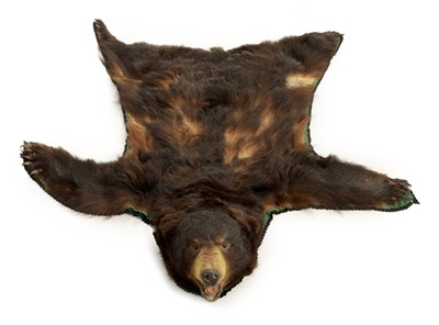 Lot 516 - AN EARLY 20TH CENTURY TAXIDERMY BEARSKIN RUG