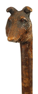 Lot 468 - A LATE 19TH CENTURY BLACK FOREST HAZEL CARVED DOGS HEAD WALKING CANE