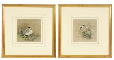 Lot 877 - ALAN M. HUNT (Born 1947). A PAIR OF WATERCOLOURS AND GOUACHE