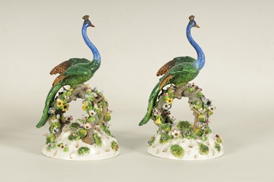 Lot 79 - A PAIR OF 19TH CENTURY DRESDEN PORCELAIN PEACOCK FIGURES