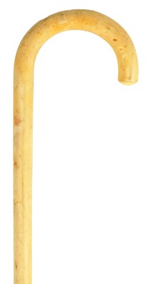 Lot 457 - AN UNUSUAL FISH BONE WALKING STICK