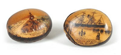 Lot 637 - AN UNUSUAL PAIR OF LATE 19TH CENTURY SCRIMSHAW NUTS