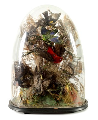 Lot 904 - A 19TH CENTURY CASED SET TAXIDERMIC OF SINGING BIRDS