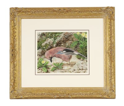 Lot 1024 - JOHN SHERRIN (1819-1896) WATERCOLOUR AND GOUACHE