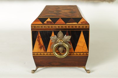 Lot 791 - A FINE REGENCY TUNBRIDGE WARE EXOTIC SPECIMEN WOOD CUBE AND SPEAR HEAD INLAID ROSEWOOD SARCOPHAGUS TEA CADDY