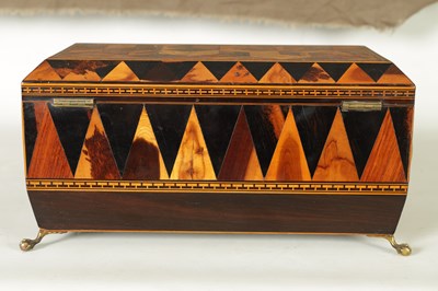 Lot 791 - A FINE REGENCY TUNBRIDGE WARE EXOTIC SPECIMEN WOOD CUBE AND SPEAR HEAD INLAID ROSEWOOD SARCOPHAGUS TEA CADDY