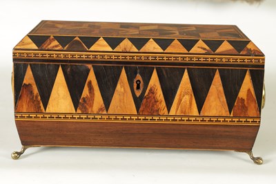 Lot 791 - A FINE REGENCY TUNBRIDGE WARE EXOTIC SPECIMEN WOOD CUBE AND SPEAR HEAD INLAID ROSEWOOD SARCOPHAGUS TEA CADDY