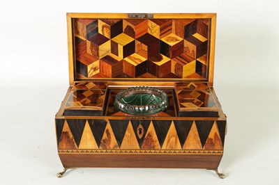 Lot 791 - A FINE REGENCY TUNBRIDGE WARE EXOTIC SPECIMEN WOOD CUBE AND SPEAR HEAD INLAID ROSEWOOD SARCOPHAGUS TEA CADDY