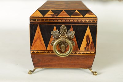 Lot 791 - A FINE REGENCY TUNBRIDGE WARE EXOTIC SPECIMEN WOOD CUBE AND SPEAR HEAD INLAID ROSEWOOD SARCOPHAGUS TEA CADDY