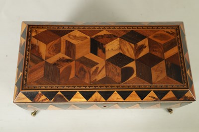 Lot 791 - A FINE REGENCY TUNBRIDGE WARE EXOTIC SPECIMEN WOOD CUBE AND SPEAR HEAD INLAID ROSEWOOD SARCOPHAGUS TEA CADDY