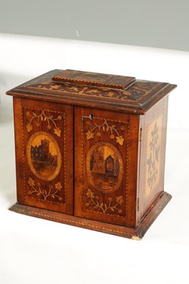 Lot 882 - A GOOD 19TH CENTURY KILLARNEY WARE YEW WOOD SEWING CABINET