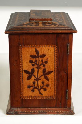 Lot 882 - A GOOD 19TH CENTURY KILLARNEY WARE YEW WOOD SEWING CABINET