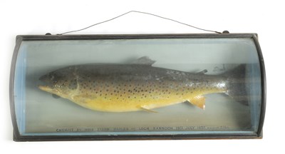 Lot 650 - A LATE 19TH CENTURY TAXIDERMIC CASED TROUT