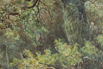 Lot 773 - G. HARDY AN EARLY 20TH CENTURY WATERCOLOUR WOODED LANDSCAPE