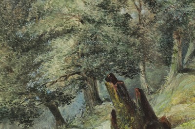 Lot 773 - G. HARDY AN EARLY 20TH CENTURY WATERCOLOUR WOODED LANDSCAPE