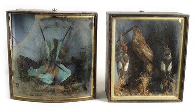 Lot 651 - TWO 19TH CENTURY TAXIDERMIC BIRDS