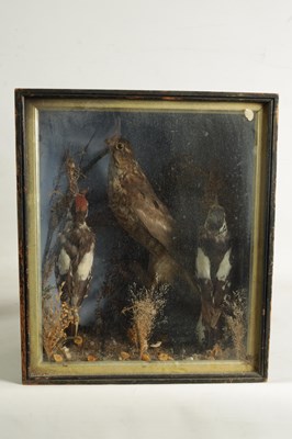 Lot 651 - TWO 19TH CENTURY TAXIDERMIC BIRDS