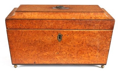 Lot 868 - A REGENCY AMBOYNA AND EBONY STRUNG SARCOPHAGUS.TEA CADDY