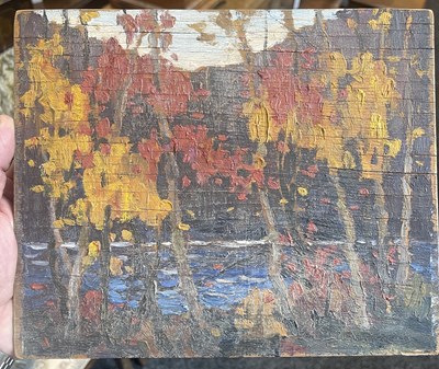Lot 777 - ATT. TOM THOMSON (CANADIAN 1877-1917) OIL ON PLYWOOD PANEL