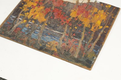Lot 777 - ATT. TOM THOMSON (CANADIAN 1877-1917) OIL ON PLYWOOD PANEL