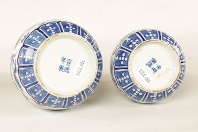 Lot 109 - TWO 19TH CENTURY CHINESE BLUE AND WHITE PORCELAIN VASES