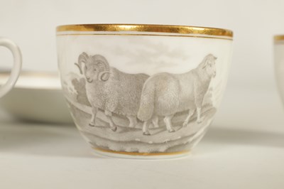 Lot 67 - A COLLECTION OF VARIOUS 19TH CENTURY PORCELAIN AND OTHER WARES