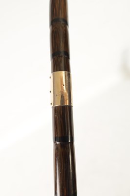 Lot 488 - A LATE 19TH CENTURY PALM WOOD WLKING STICK