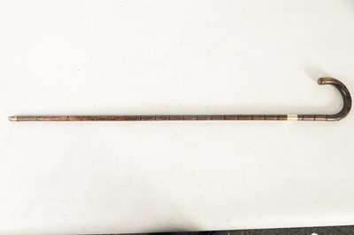 Lot 488 - A LATE 19TH CENTURY PALM WOOD WLKING STICK