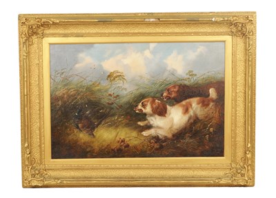 Lot 815 - ATER GEORGE ARMFIELD. A 19TH CENTURY OIL ON CANVAS SPORTING SCENE