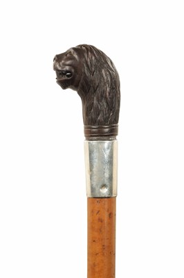 Lot 571 - AN EARLY 20TH CENTURY CARVED LION'S HEAD AND MALACCA CANE WALKING STICK WITH SILVER COLLAR