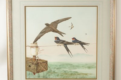 Lot 764 - MICHAEL (MIKE) JACKSON. A 20TH CENTURY WATERCOLOUR SWALLOWS IN FLIGHT AND PERCHED ON A LINE