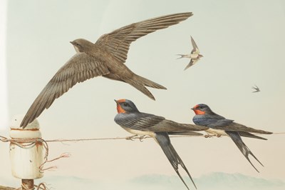 Lot 764 - MICHAEL (MIKE) JACKSON. A 20TH CENTURY WATERCOLOUR SWALLOWS IN FLIGHT AND PERCHED ON A LINE