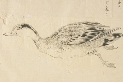 Lot 161 - A 19TH CENTURY JAPANESE MONOCHROME PAINTING OF A GOOSE