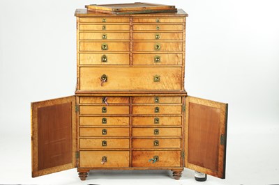 Lot 900 - A LATE REGENCY BIRD'S EYE MAPLE CAMPAIGN COLLECTOR'S CABINET