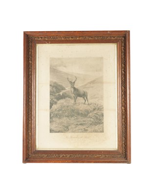 Lot 216 - Monarch  of the glen