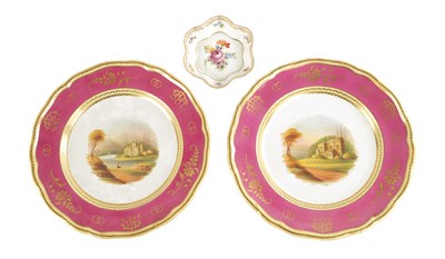 Lot 52 - A PAIR OF 19TH CENTURY PORCELAIN PLATES BY W. ADAMS & SONS. STOKE-ON-TRENT