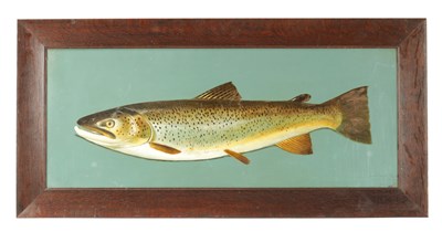 Lot 546 - AN EARLY 20TH CENTURY OIL ON BOARD OF A BROWN TROUT