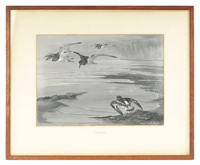 Lot 577 - FRANK SOUTHGATE (1872-1916). A LATE 19TH CENTURY GOUACHE “TURNSTONES”