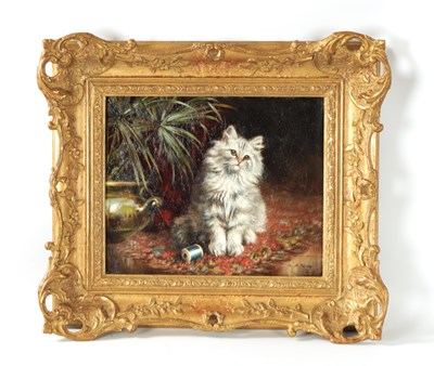 Lot 601 - AGNES AUGUSTA TALBOYS OIL ON CANVAS