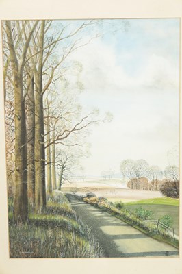 Lot 1164 - ALEX SCHOFIELD, A 20TH CENTURY WATERCOLOUR