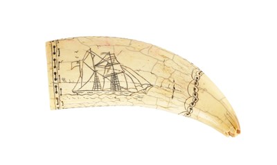 Lot 1007 - A 19TH CENTURY SAILS SCRIMSHAW WHALE TOOTH