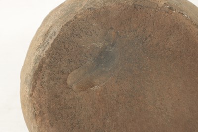 Lot 974 - A PREHISTORIC FOSSIL OF A LEAF