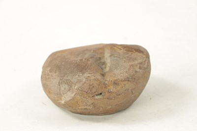 Lot 974 - A PREHISTORIC FOSSIL OF A LEAF