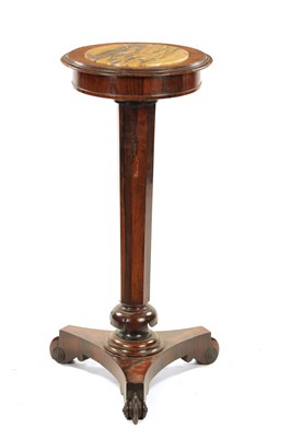 Lot 150 - A WILLIAM IV FIGURED ROSEWOOD OCCASIONAL TABLE/PLANTER