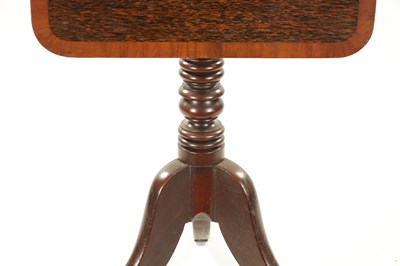 Lot 58 - A REGENCY TRIPOD TABLE WITH PALM WOOD TOP AND MAHOGANY BASE
